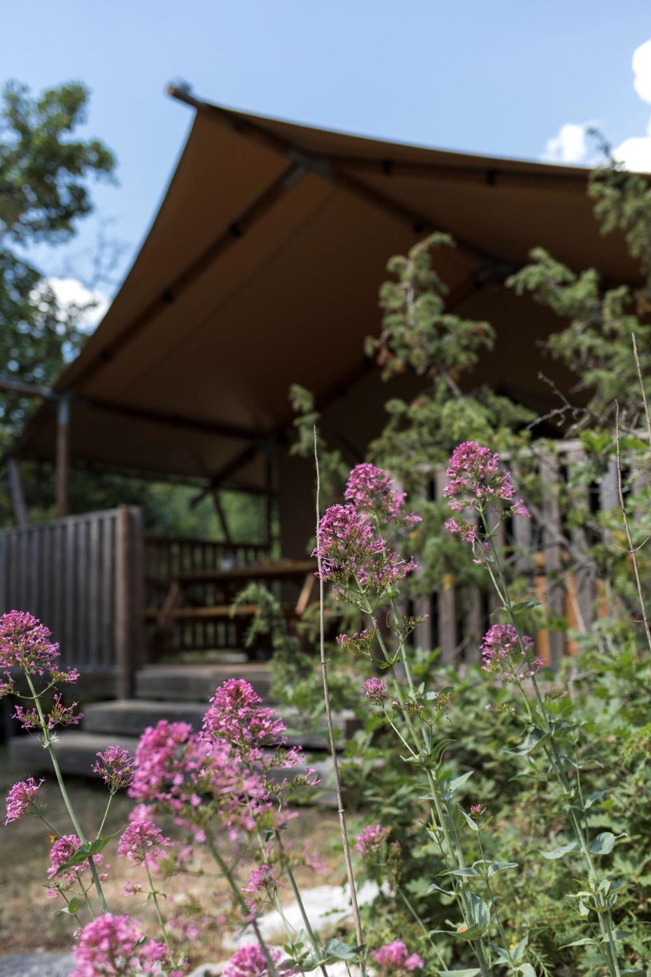 Lodge Du Berlandou Escragnolles Eksteriør billede